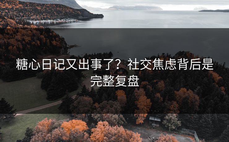 糖心日记又出事了？社交焦虑背后是完整复盘